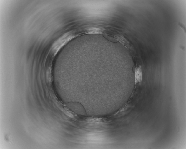 X0000102530291200808291826