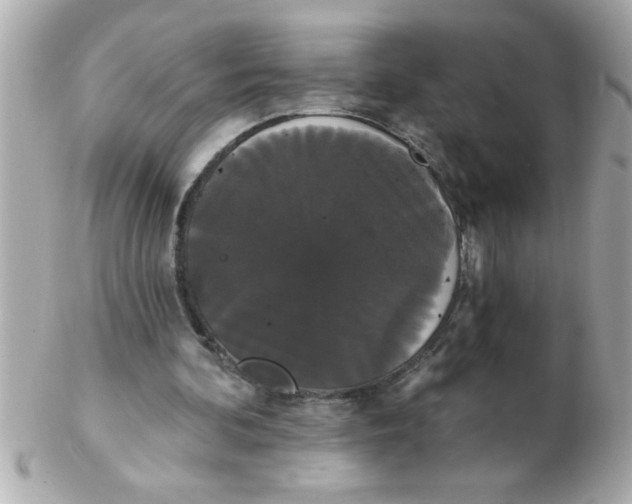 X0000102530292200808291826