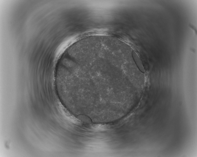 X0000102530293200808291826
