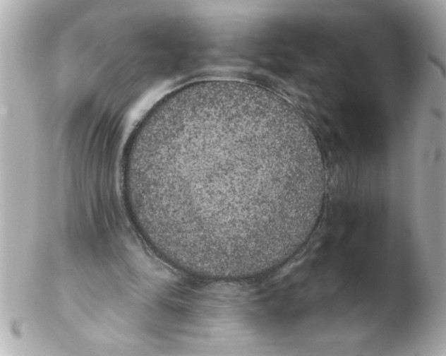 X0000102530294200808291826