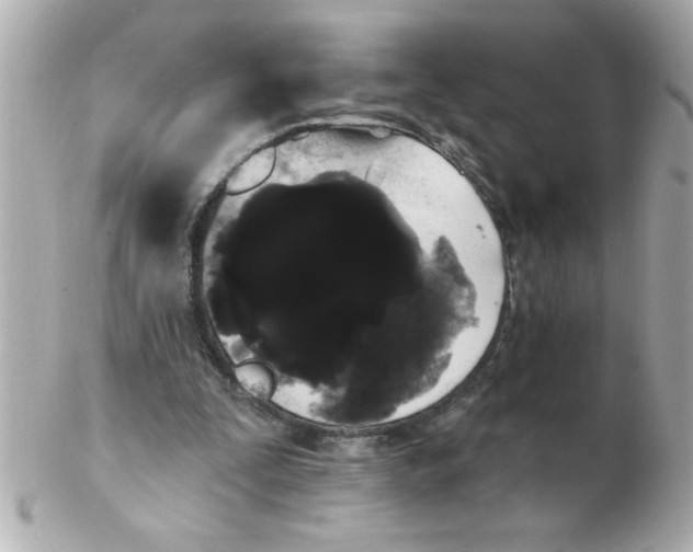 X0000102530295200808291826