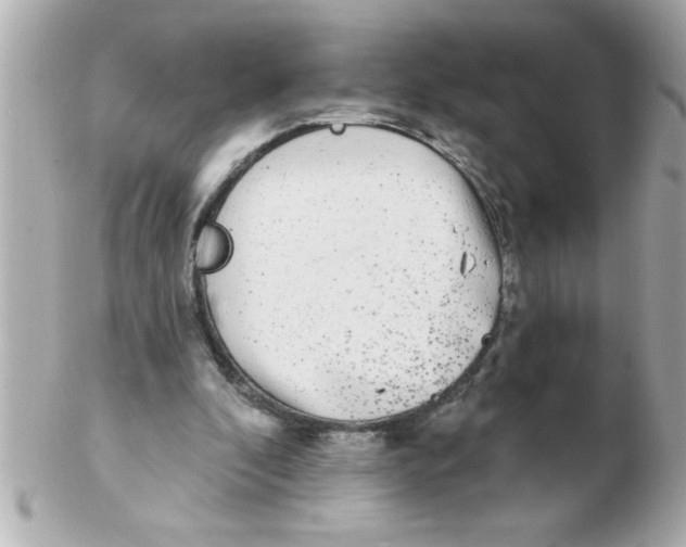 X0000102530296200808291826