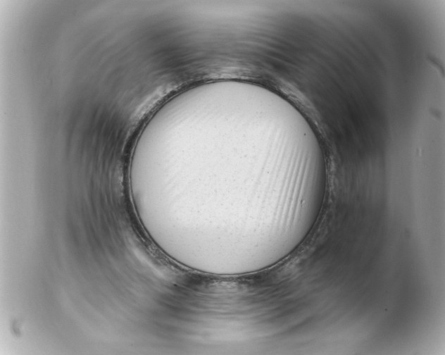 X0000102530298200808291826