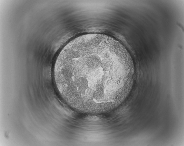 X0000102530299200808291826