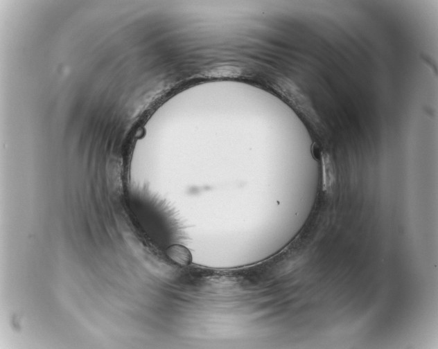 X0000102530300200808291826