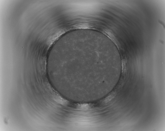 X0000102530301200808291826