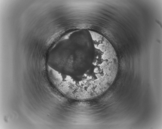 X0000102530303200808291826