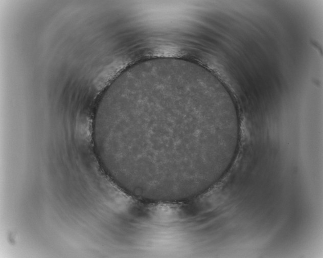 X0000102530305200808291826