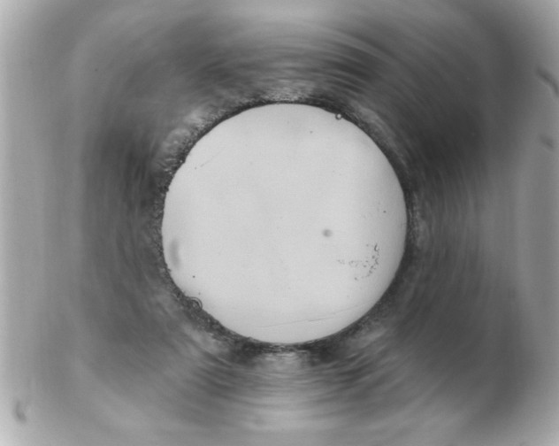 X0000102530307200808291826