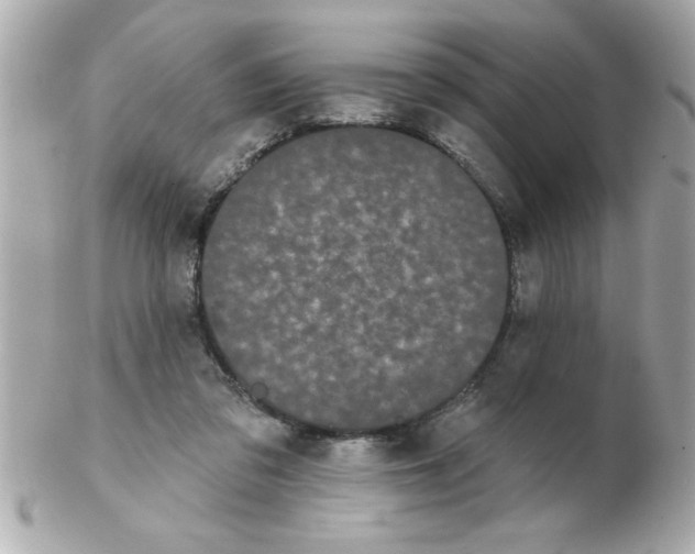 X0000102530309200808291825