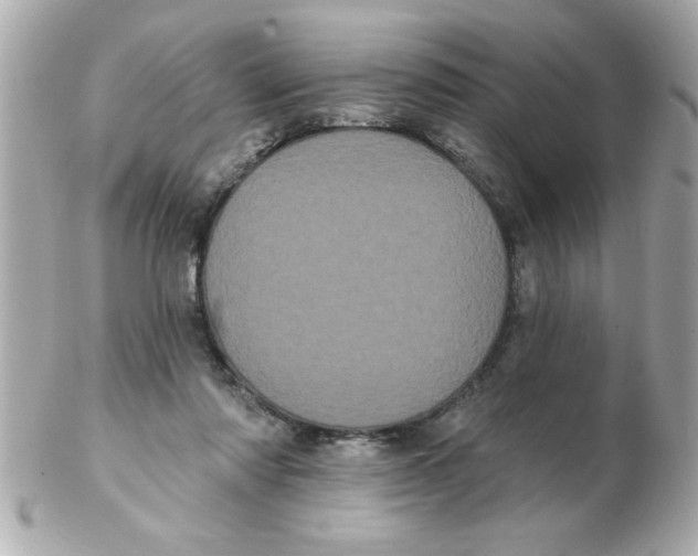 X0000102530310200808291825
