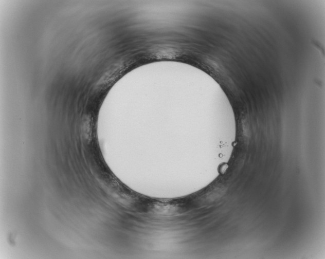 X0000102530311200808291825