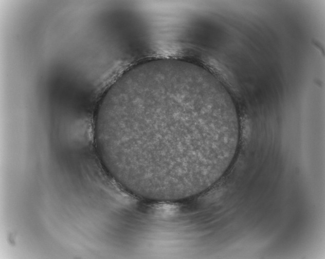 X0000102530313200808291825