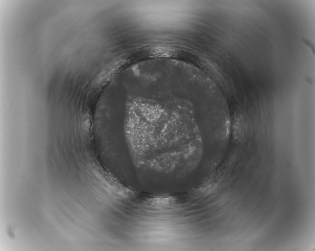 X0000102530314200808291825