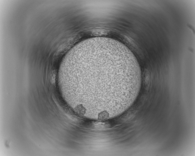 X0000102530315200808291825