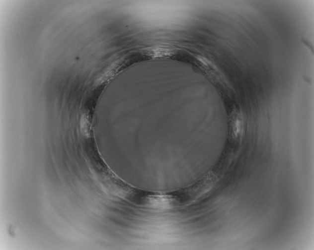 X0000102530316200808291825