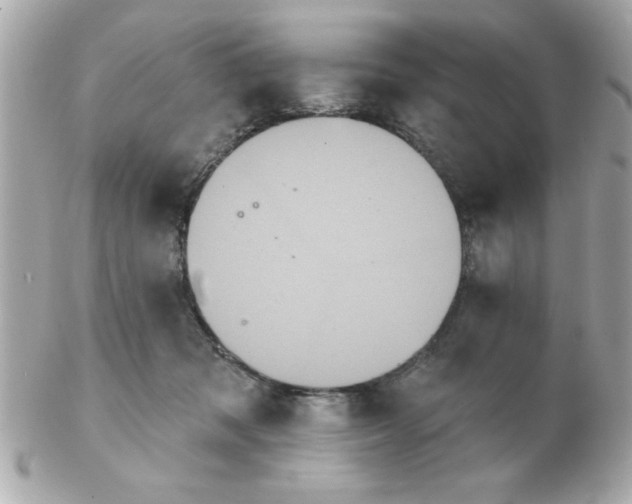 X0000102530317200808291825