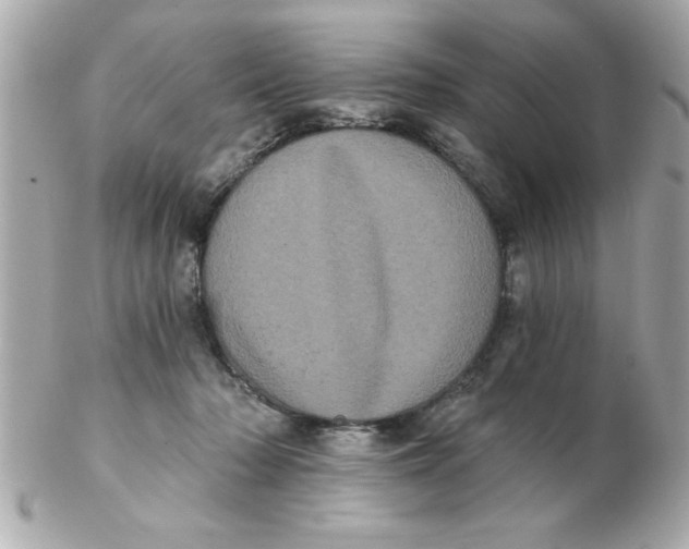 X0000102530318200808291825