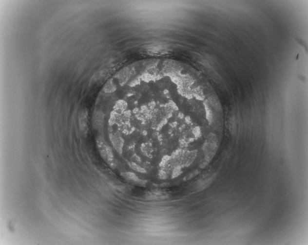 X0000102530319200808291825