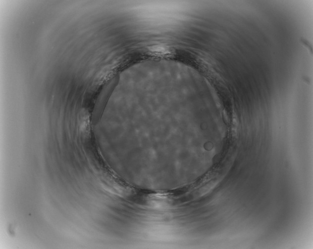 X0000102530320200808291825
