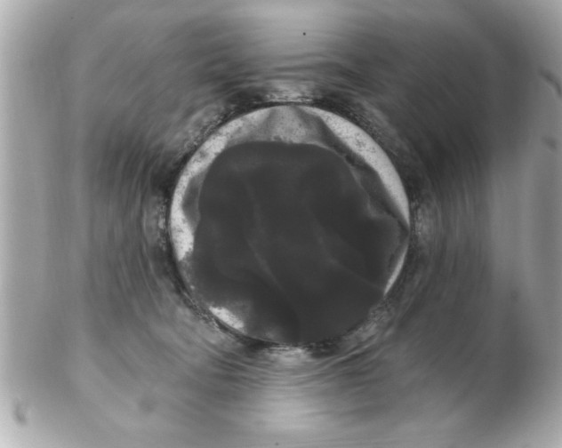 X0000102530322200808291825