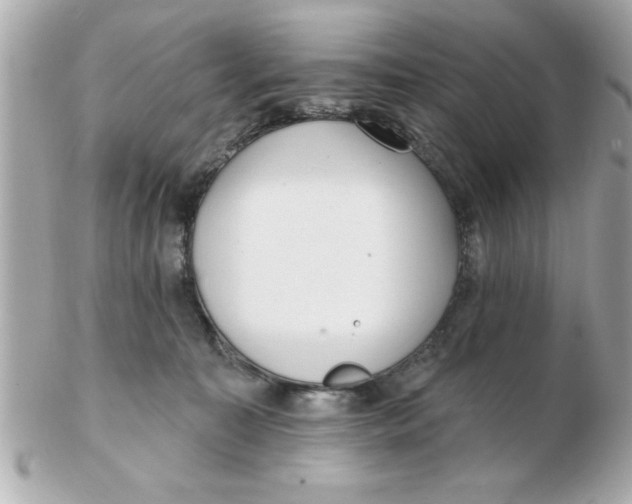 X0000102530323200808291825