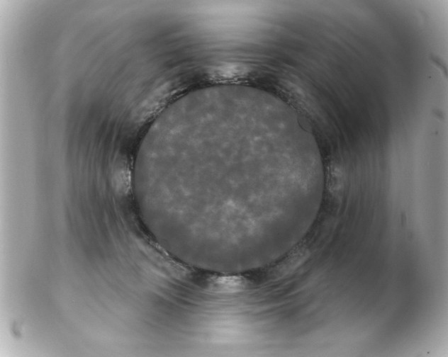 X0000102530324200808291825