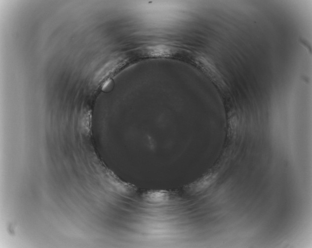 X0000102530325200808291825