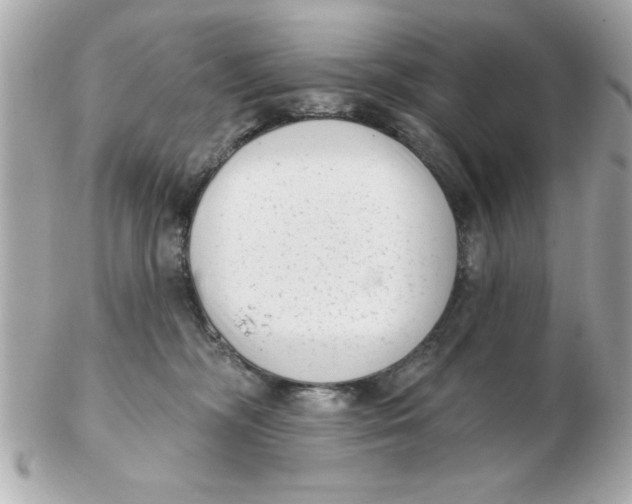 X0000102530326200808291825