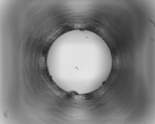 X0000102530327200808291825
