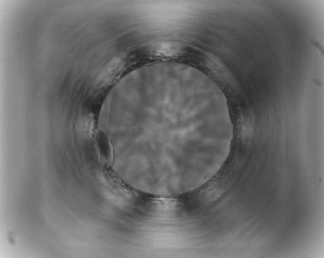 X0000102530328200808291825
