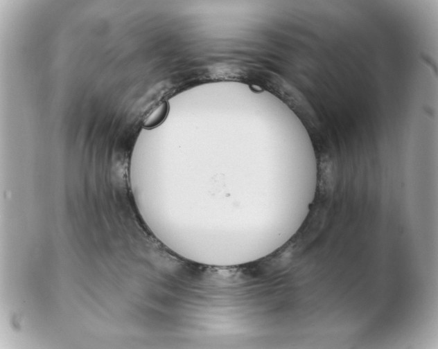 X0000102530329200808291825