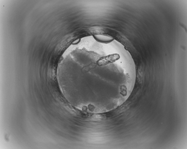 X0000102530330200808291825