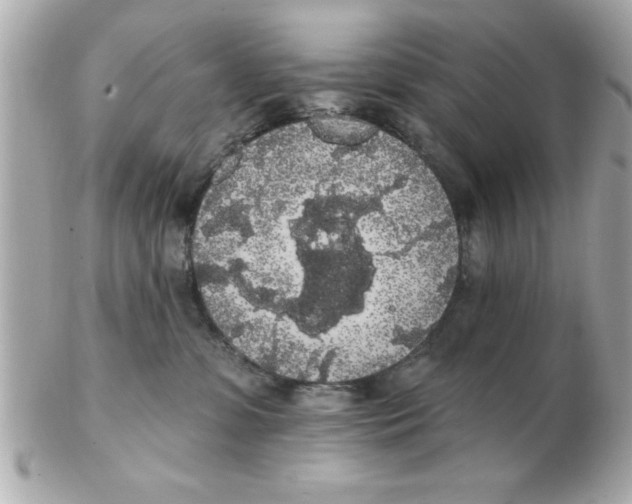 X0000102530331200808291825