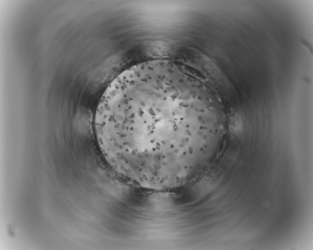X0000102530332200808291825