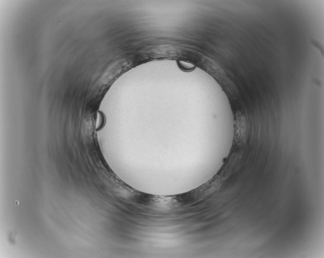 X0000102530333200808291825