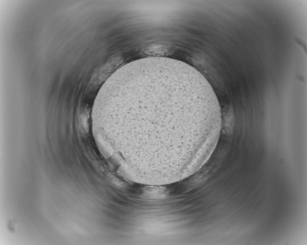 X0000102530334200808291825