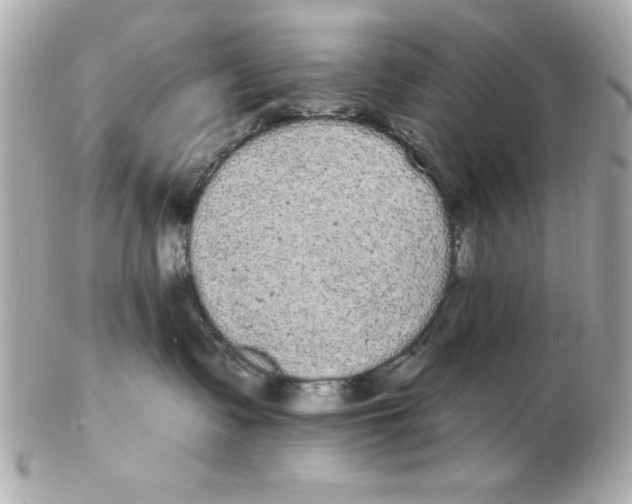 X0000102530335200808291825