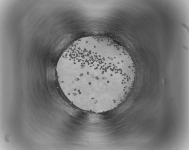 X0000102530336200808291825