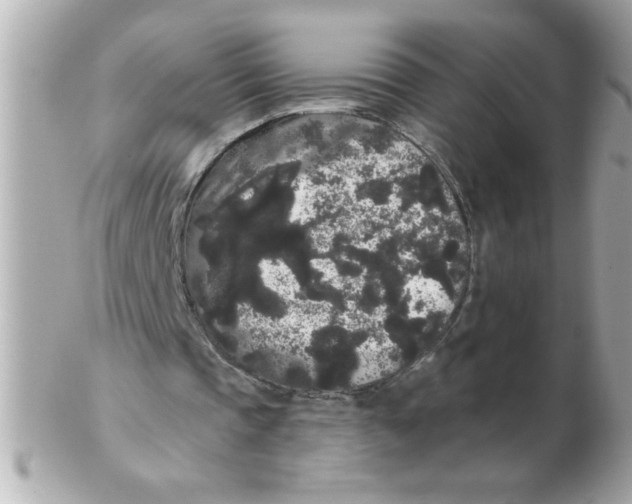X0000102530337200808291824