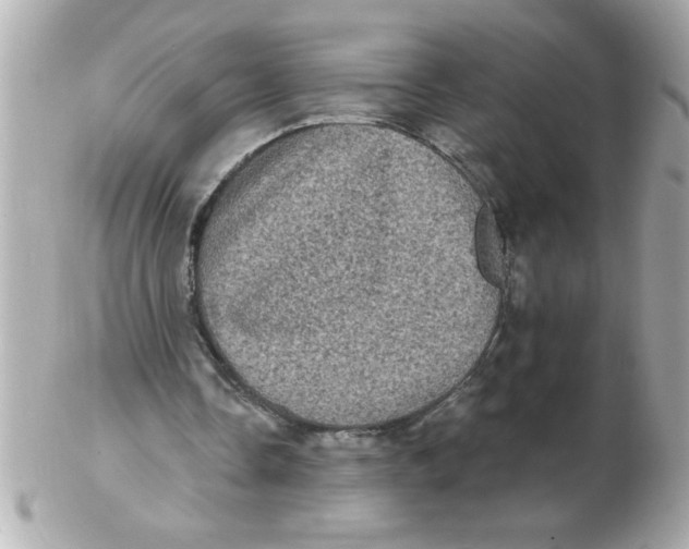 X0000102530338200808291824