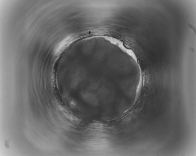 X0000102530339200808291824