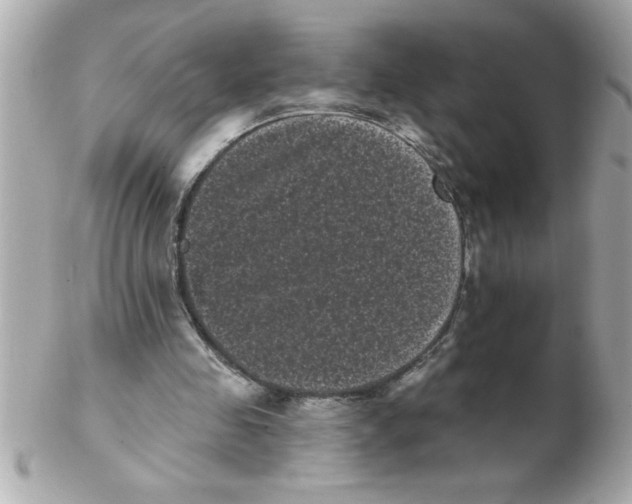 X0000102530341200808291825