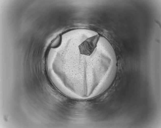 X0000102530342200808291825