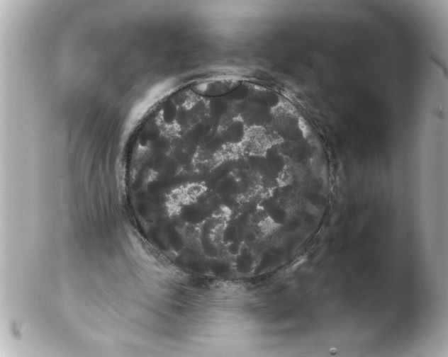 X0000102530343200808291825