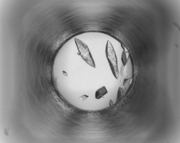 X0000102530345200808291825
