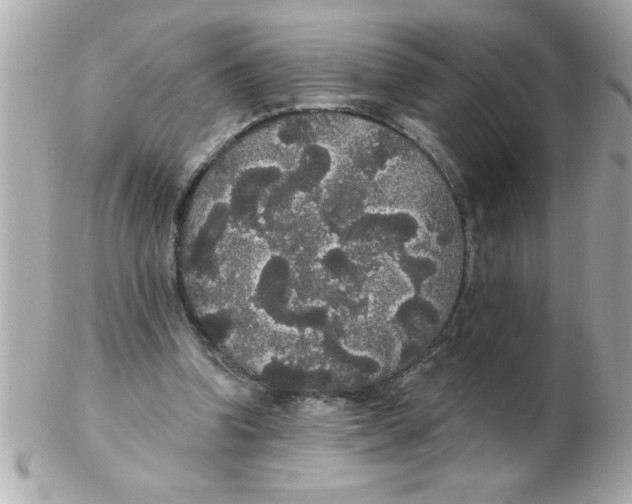 X0000102530346200808291825