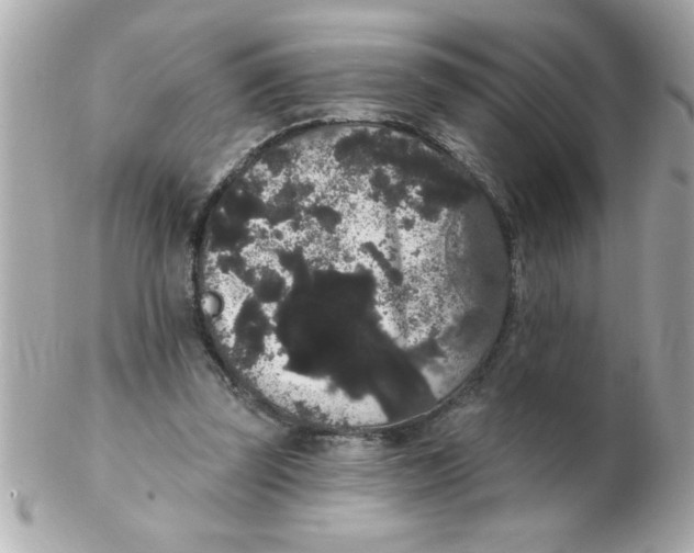 X0000102530347200808291825