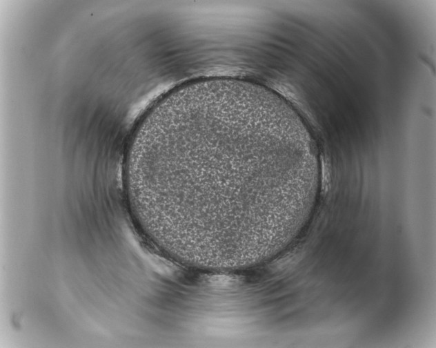 X0000102530348200808291825