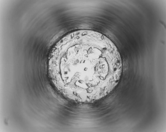X0000102530349200808291825